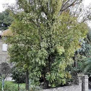 https://la-gardenia-vacanze-al-mare.hotelitalianriviera.com